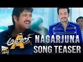 Nagarjuna Video Song Teaser -Akhil Movie- Akhil, Sayyeshaa