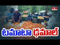 టమాట ఢమాల్ | Tomato Price Down in Adilabad | hmtv