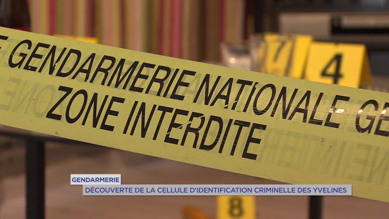 Gendarmerie : découverte de la cellule d’identification criminelle des Yvelines