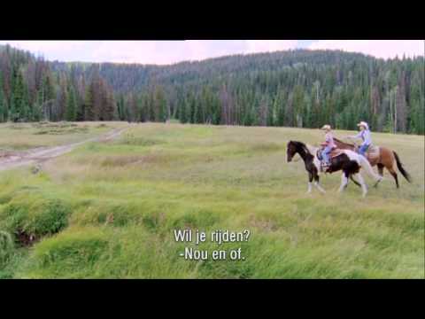 The Wild Stallion'