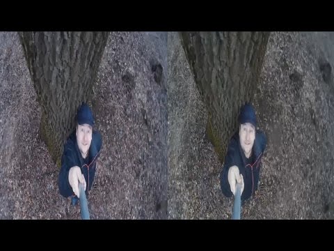 3D VIDEO . FOREST IN 3D