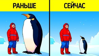 Факты, которые заставят вас спросить: «Неужели это правда?»