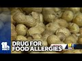 Drug to treat severe food allergies based on Hopkins research