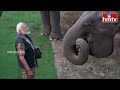 బాహుబలి లాగా ఏనుగుపై సవారీ చేసిన ప్రధాని మోడీ | #kaziranganationalpark #assam #pmmodi | hmtv - 01:23 min - News - Video
