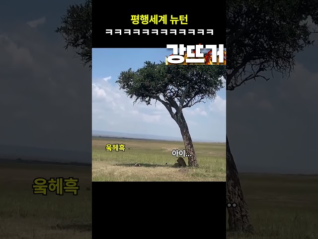 평행세계 뉴턴 ㅋㅋㅋ