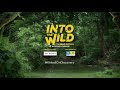 Promo: Into The Wild with Bear Grylls and hero Akshay Kumar, telecast on Sept 14