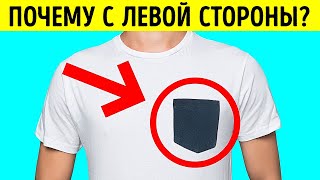 Факты, которых вы не знали, и мифы, которые вы считаете правдой