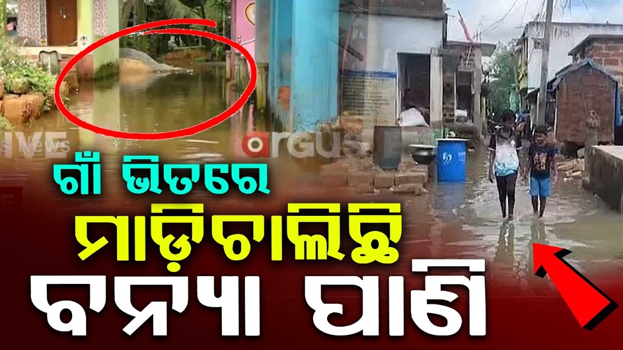 Massive Flooding In Khordha: Over 6 Villages Submerged By Rajua River | Argus News