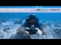 SeaLife Introduces DC2000 Digital Underwater Camera | SeaLife DC2000