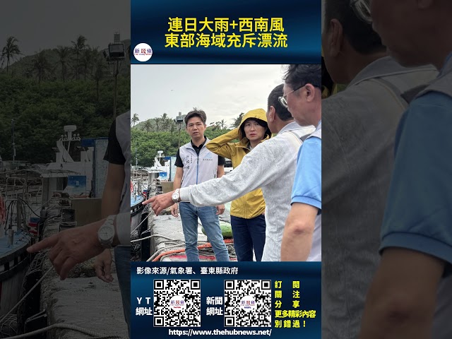 影音/連日大雨+西南風 東部海域充斥漂流木