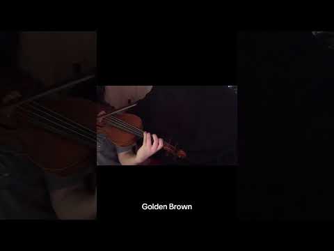 Golden Brown by The Stranglers, Full on my Channel🎻🎶 #violin #goldenbrown #thestranglers #medieval