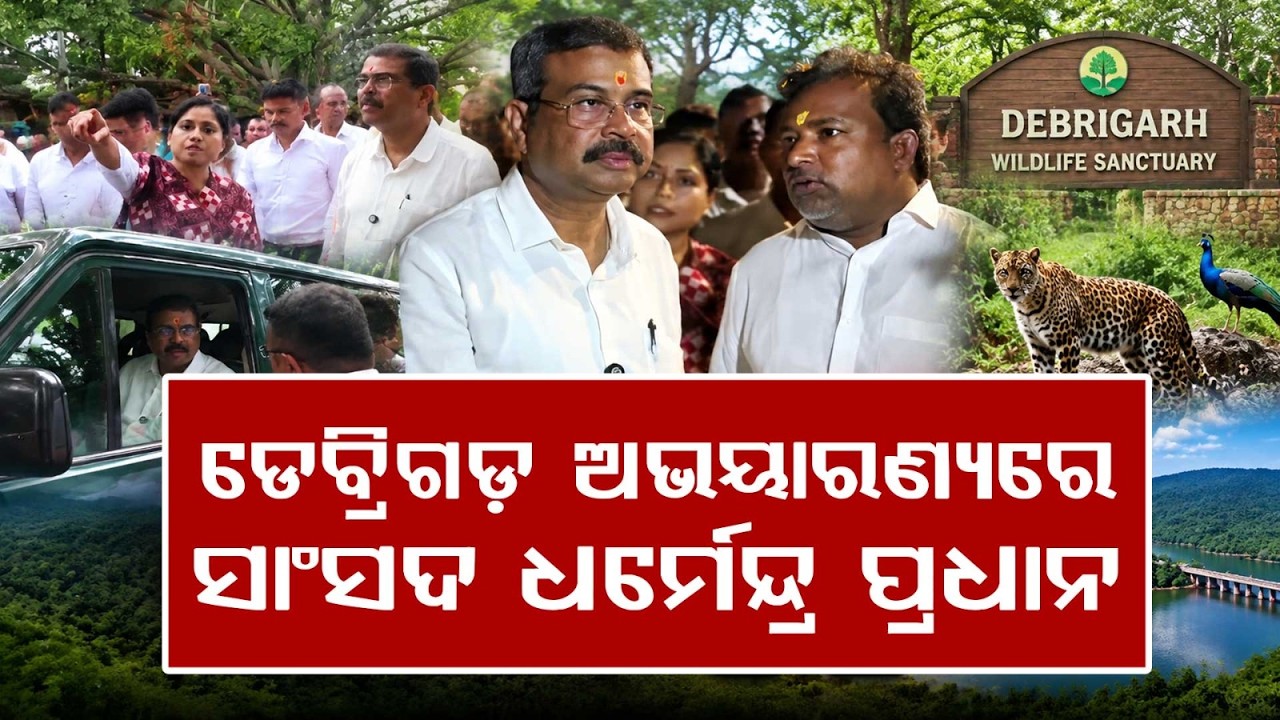 MP Dharmendra Pradhan Visits Debrigarh Sanctuary | Jungle Safari & Home Stay Review | Argus News