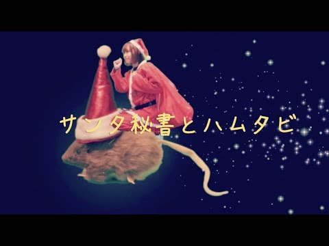 自作ドラマ「サンタ秘書とハムタビ」前編