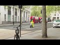 Military horses run loose in central London, injuring 4 people and causing havoc  - 00:21 min - News - Video