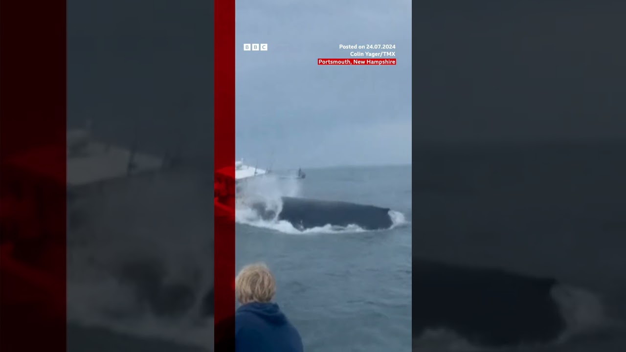 Moment whale capsizes fishing boat in the US. #Whale #US #BBCNews