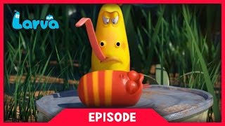 Larva - zábavné momenty
