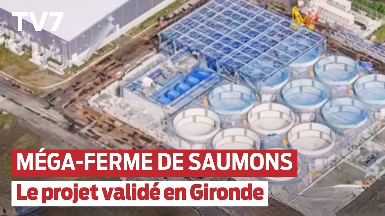 Gironde : Méga-ferme de saumons autorisée, témoignage des bénévoles engagés auprès des pompiers
