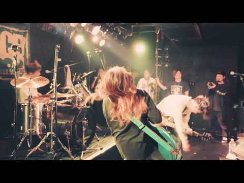 ank せーの LIVE VIDEO