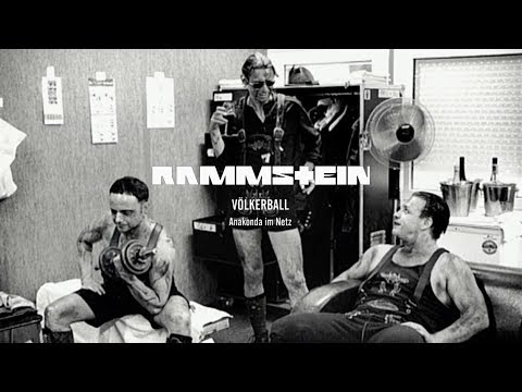 Anakonda im Netz'