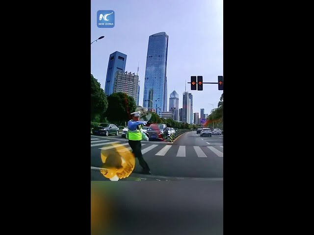 Heartwarming moment: officer stops traffic to save kitten