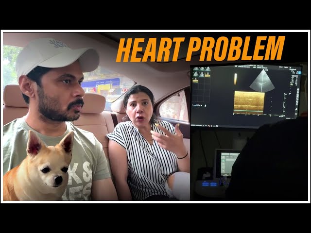 DOCTOR COULDN’T FIND HER HEART