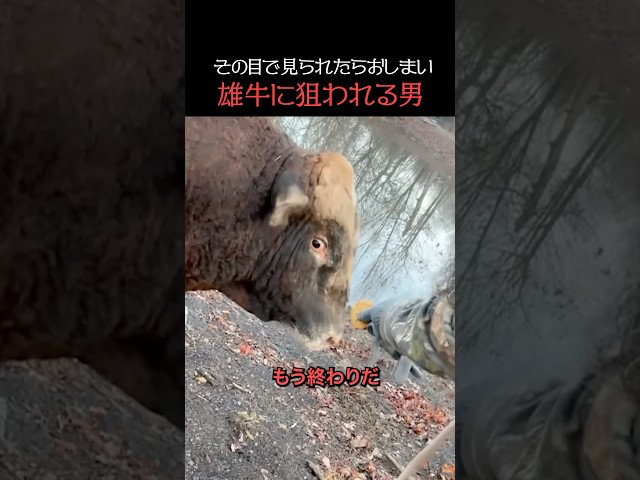 その目で見られたらおしまい