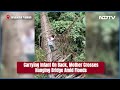 Arunachal Floods | Carrying Infant On Back, Mother Crosses Hanging Bridge Amid Floods In AP  - 00:48 min - News - Video