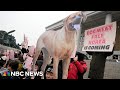 South Korean lawmakers vote to ban dog meat trade