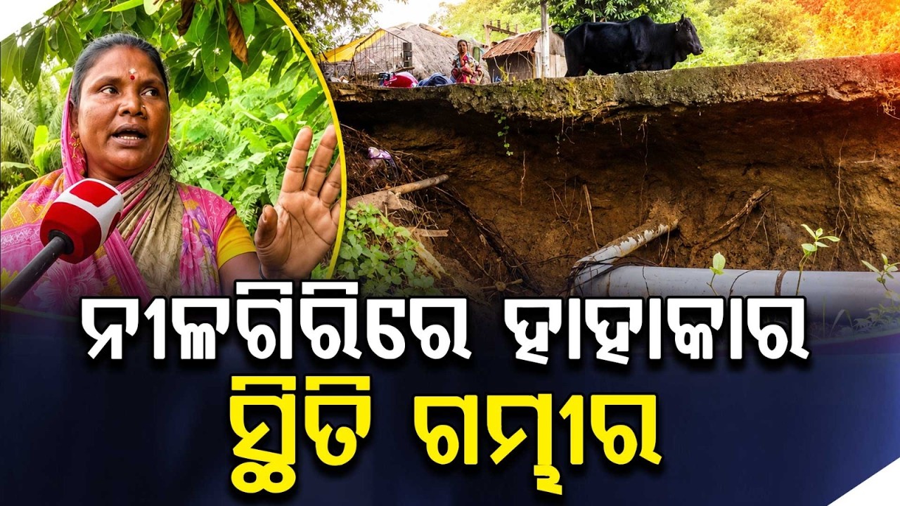 Nilagiri Flood Crisis: Hill Torrent From Swarnachuda Hill Destroys Houses & Roads | Argus News