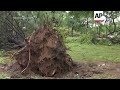 Los argentinos afrontan las secuelas de tormenta mortal  - 01:26 min - News - Video