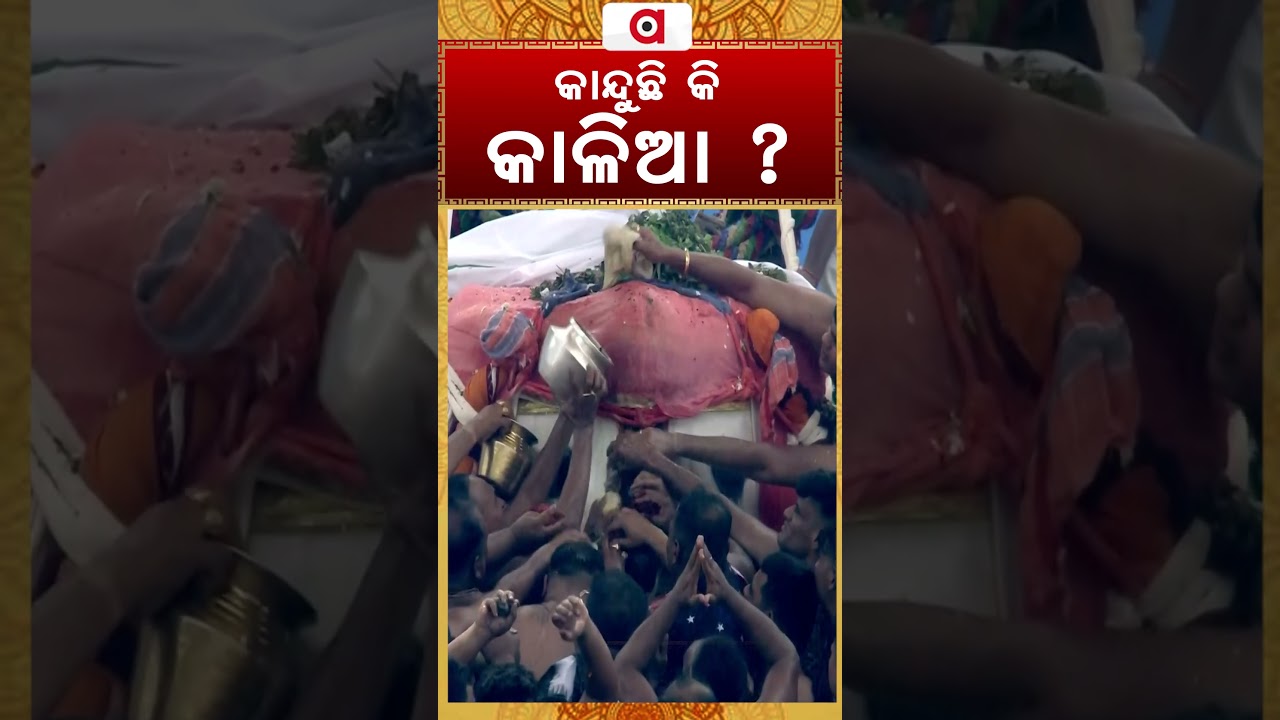 କାନ୍ଦୁଛି କି କାଳିଆ ? | Does Lord Jagannath Cry for His Devotees? | Emotional Moments | Argus News