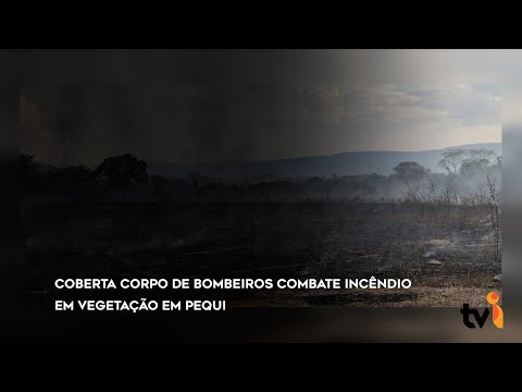 Vídeo: Corpo de Bombeiros combate incêndio em vegetação em Pequi