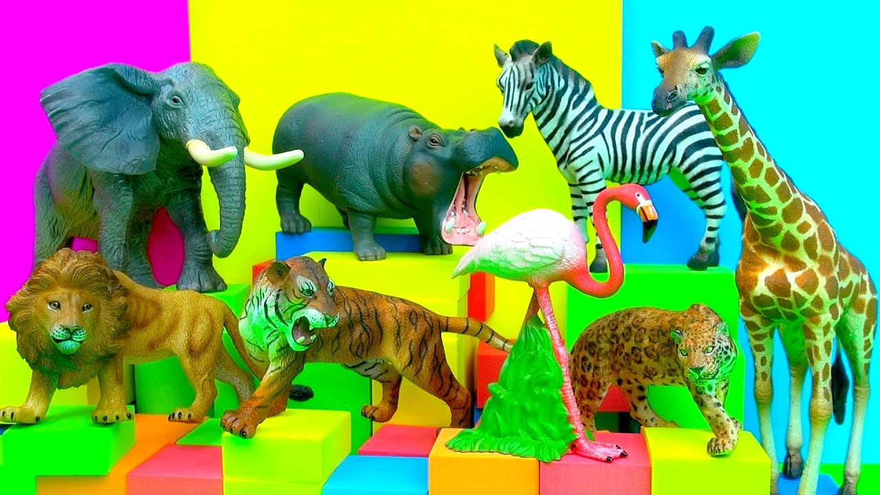 race toy time zoo animals