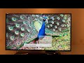 Настройка и обзор изображения телевизоров Samsung 2017 - 2018