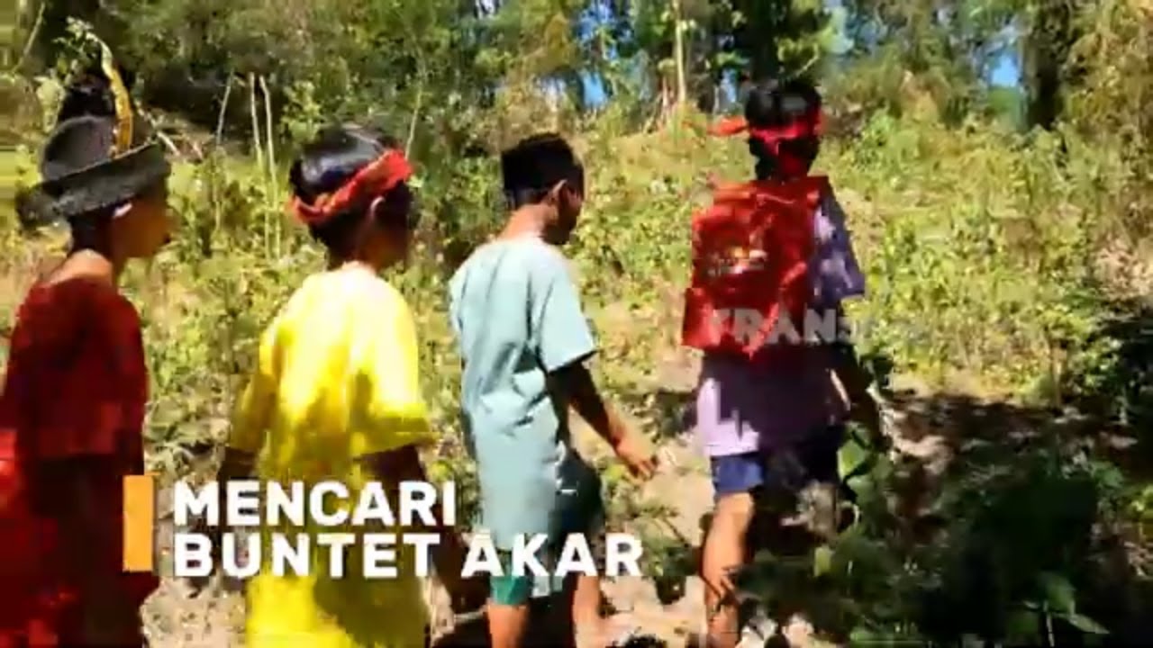 Mencari Buntet Akar | SI BOLANG (20/08/24)