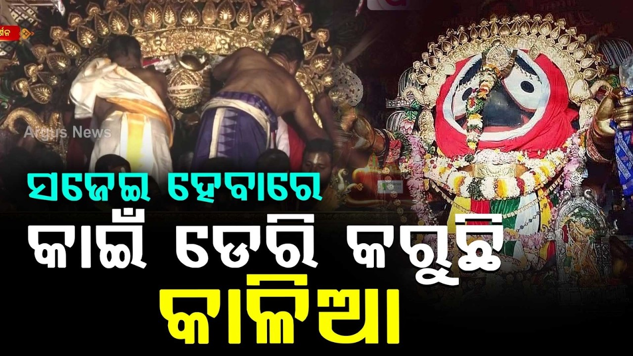 ସଜେଇ ହେବାରେ କାଇଁ ଡେରି କରୁଛି | Suna Besha 2026 | Suna Besa | Rath Yatra 2026 | Rath Jatra