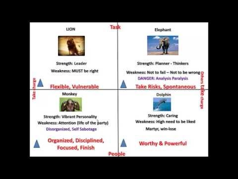 4 Personality Test Types DISC