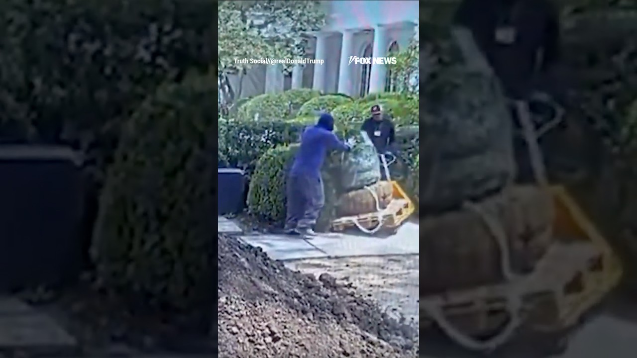 ‘WE CAUGHT THEM’: Trump BANS contractor over Rose Garden damage #shorts #foxnews #news #us #fox