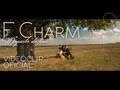 fileshare f.charm - departe de tine