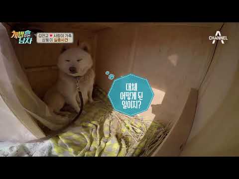 부부납치단(!) 사랑이네 삼둥이 납치?! '언니 믿지?^_^' | 개밥주는남자