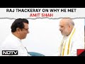 Raj Thackeray On Why He Met Amit Shah: Eknath Shinde Told Me...: