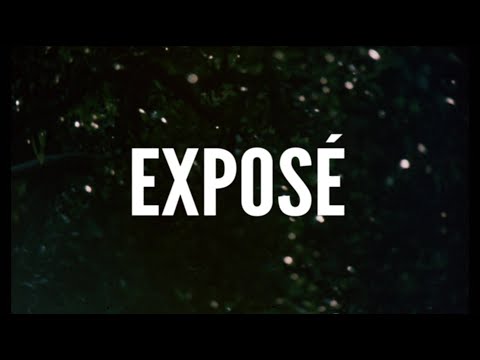 Exposé'