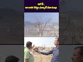 అగో.. ఆ రావి శెట్టు ఎన్కాలే మా ఇల్లు | Villager About Their House | Mid Manair Dam | V6 News  - 00:32 min - News - Video