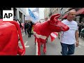 European dairy farmers wheel plaster cows through Brussels to demand fair milk prices