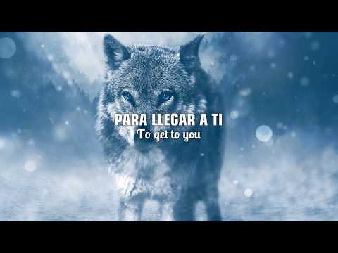 SELENA GOMEZ & MARSHMELLO - WOLVES | LETRA EN INGLÉS Y ESPAÑOL