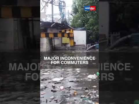 Mumbai Rains  Andheri Subway Flooded Toxic water barricades commuter chaos  15 thousand views  play Short