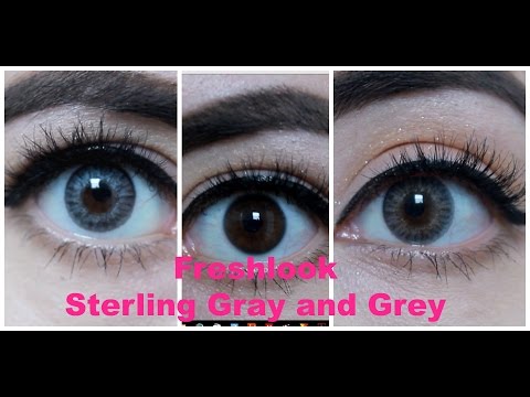 freshlook colorblends gray vs
