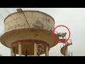Bull becomes Viru of Sholay, climbs water tank in Rajasthan's Churu