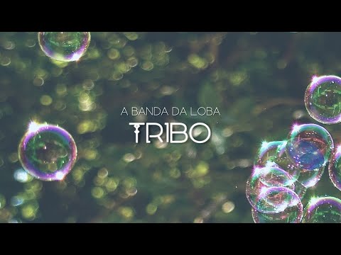A BANDA DA LOBA - Tribo (Videoclip oficial)