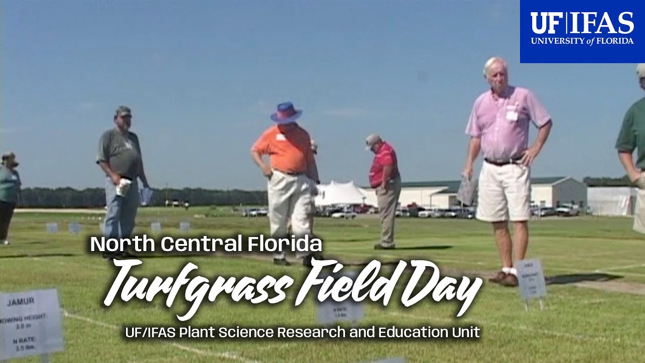 Play Video about Turf Grass - North Central Florida Turf Grass Field Day